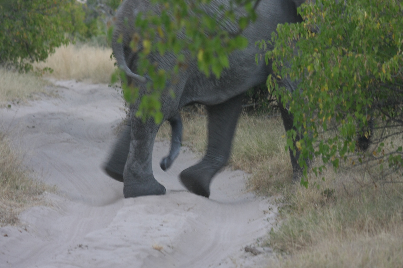 [20335] 2016_06_28_12_00_25_Africa_Canon_EOS_40D_IMG__03215.jpg