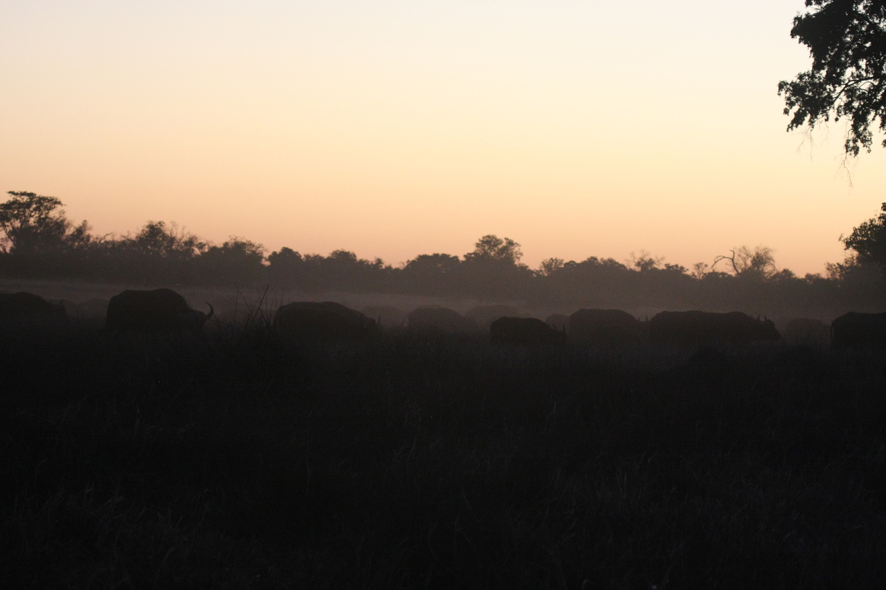 [20348] 2016_06_28_12_17_47_Africa_Canon_EOS_40D_IMG__03218.jpg