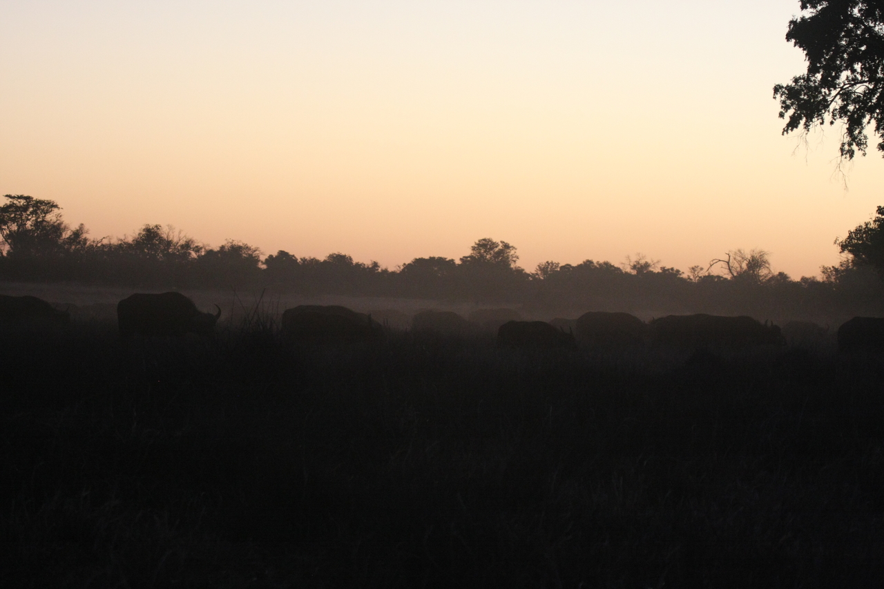 [20349] 2016_06_28_12_17_47_Africa_Canon_EOS_40D_IMG__03219.jpg