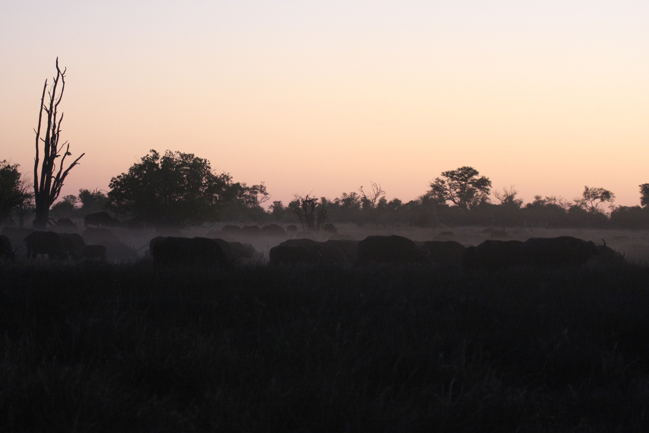 [20355] 2016_06_28_12_17_57_Africa_Canon_EOS_40D_IMG__03220.jpg