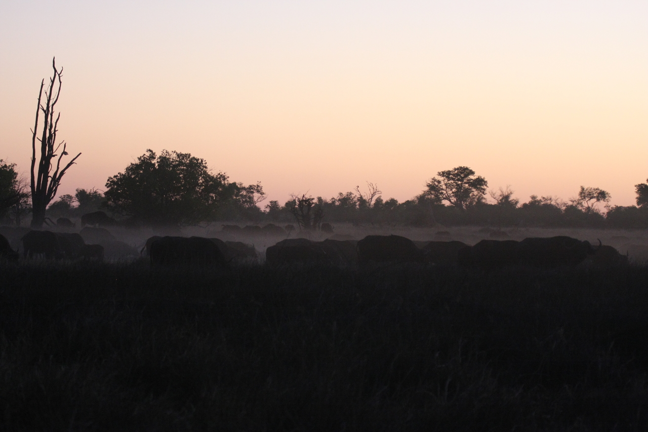 [20356] 2016_06_28_12_17_57_Africa_Canon_EOS_40D_IMG__03221.jpg