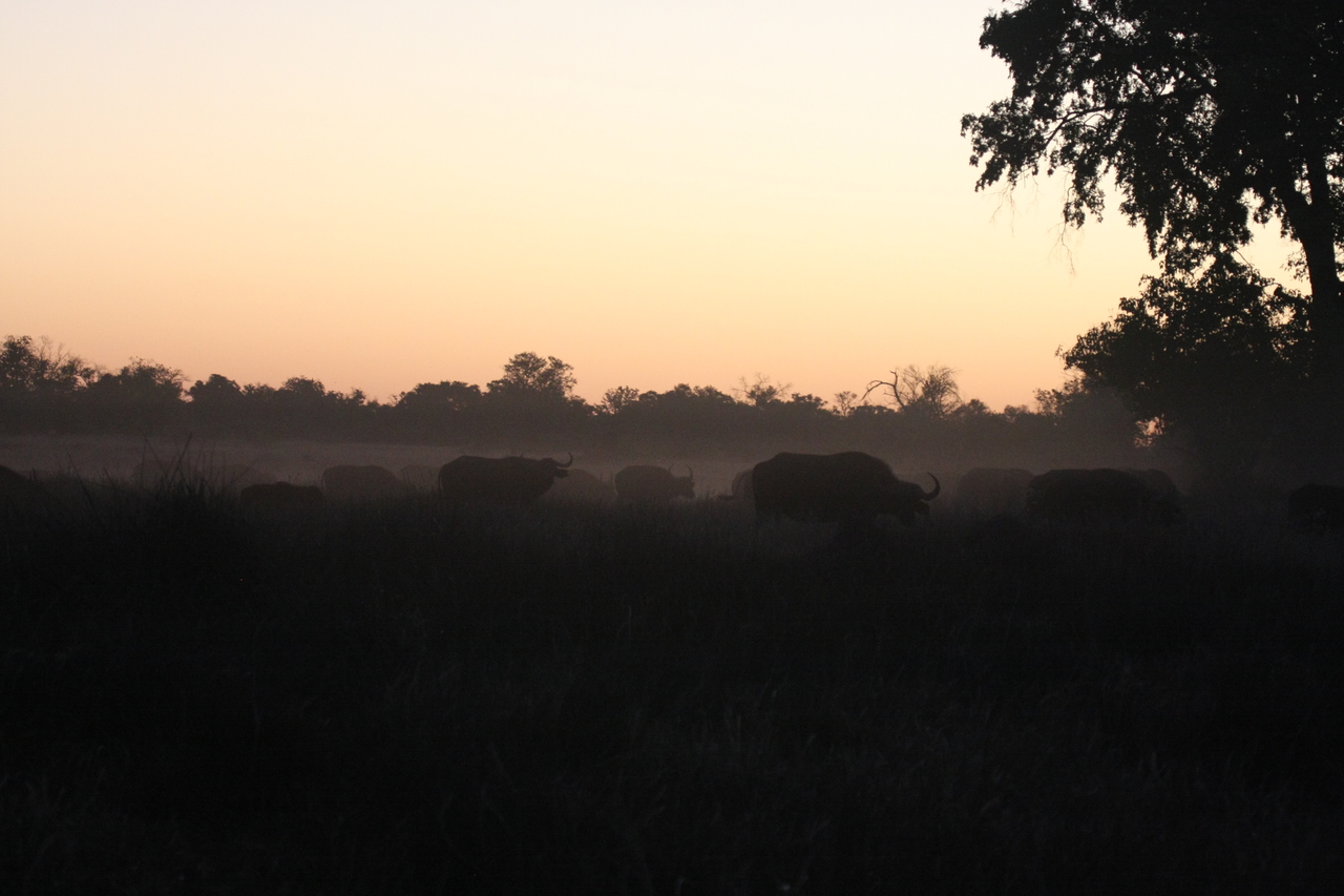 [20363] 2016_06_28_12_18_09_Africa_Canon_EOS_40D_IMG__03224.jpg