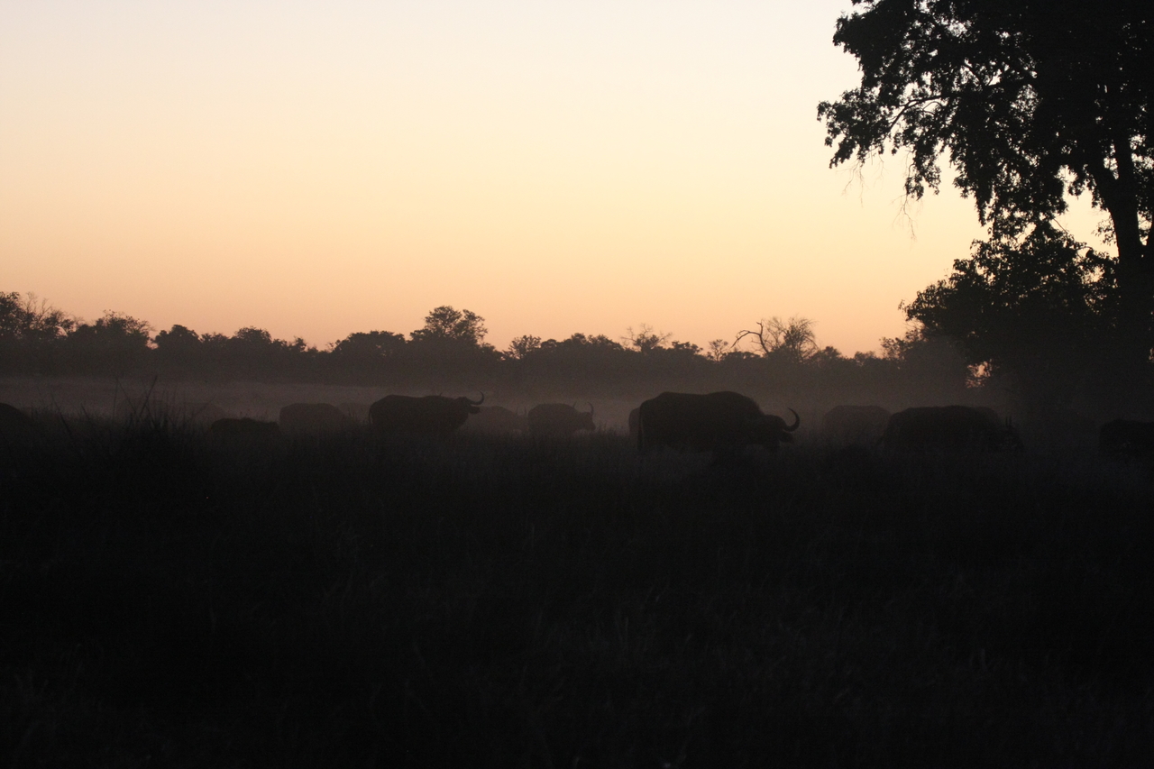 [20366] 2016_06_28_12_18_09_Africa_Canon_EOS_40D_IMG__10672.jpg