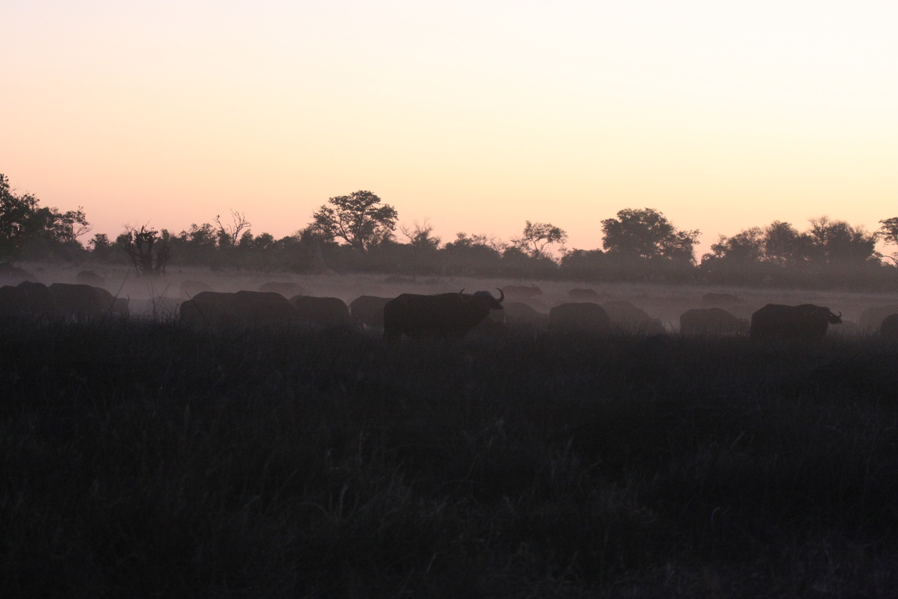 [20371] 2016_06_28_12_18_58_Africa_Canon_EOS_40D_IMG__10673.jpg