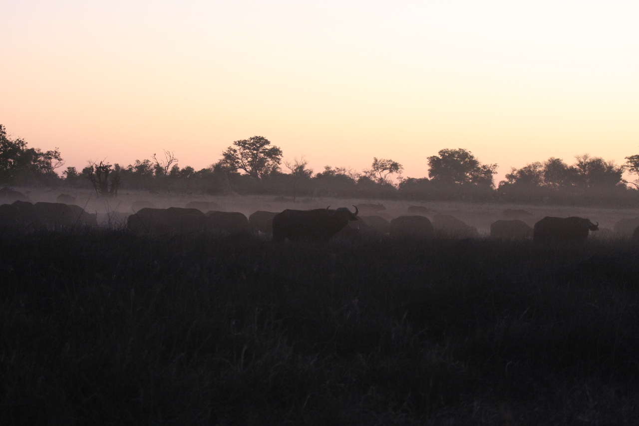 [20372] 2016_06_28_12_18_58_Africa_Canon_EOS_40D_IMG__10674.jpg