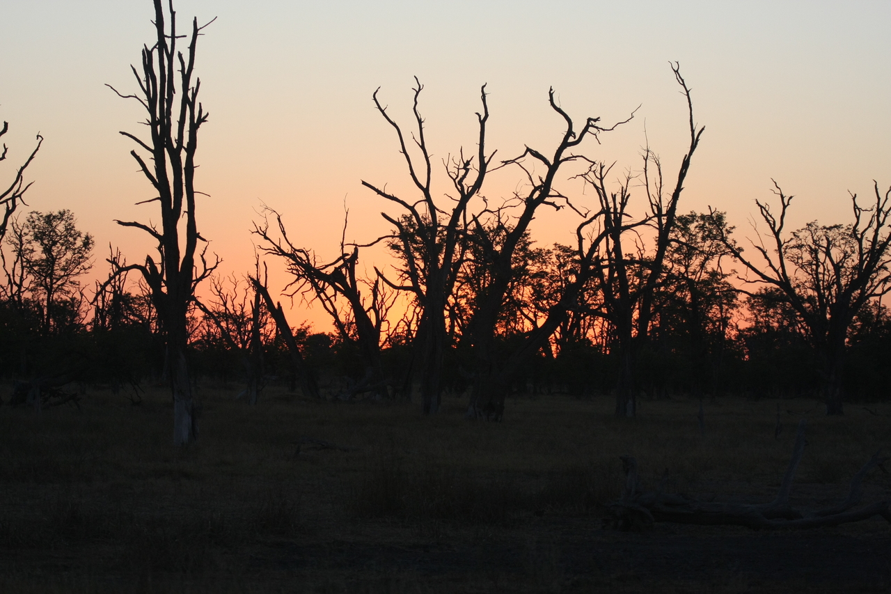 [20573] 2016_06_29_01_00_22_Africa_Canon_EOS_40D_IMG__00180.jpg