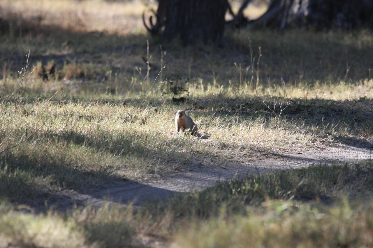 [20885] 2016_06_29_03_08_53_Africa_Canon_EOS_40D_IMG__00037.jpg