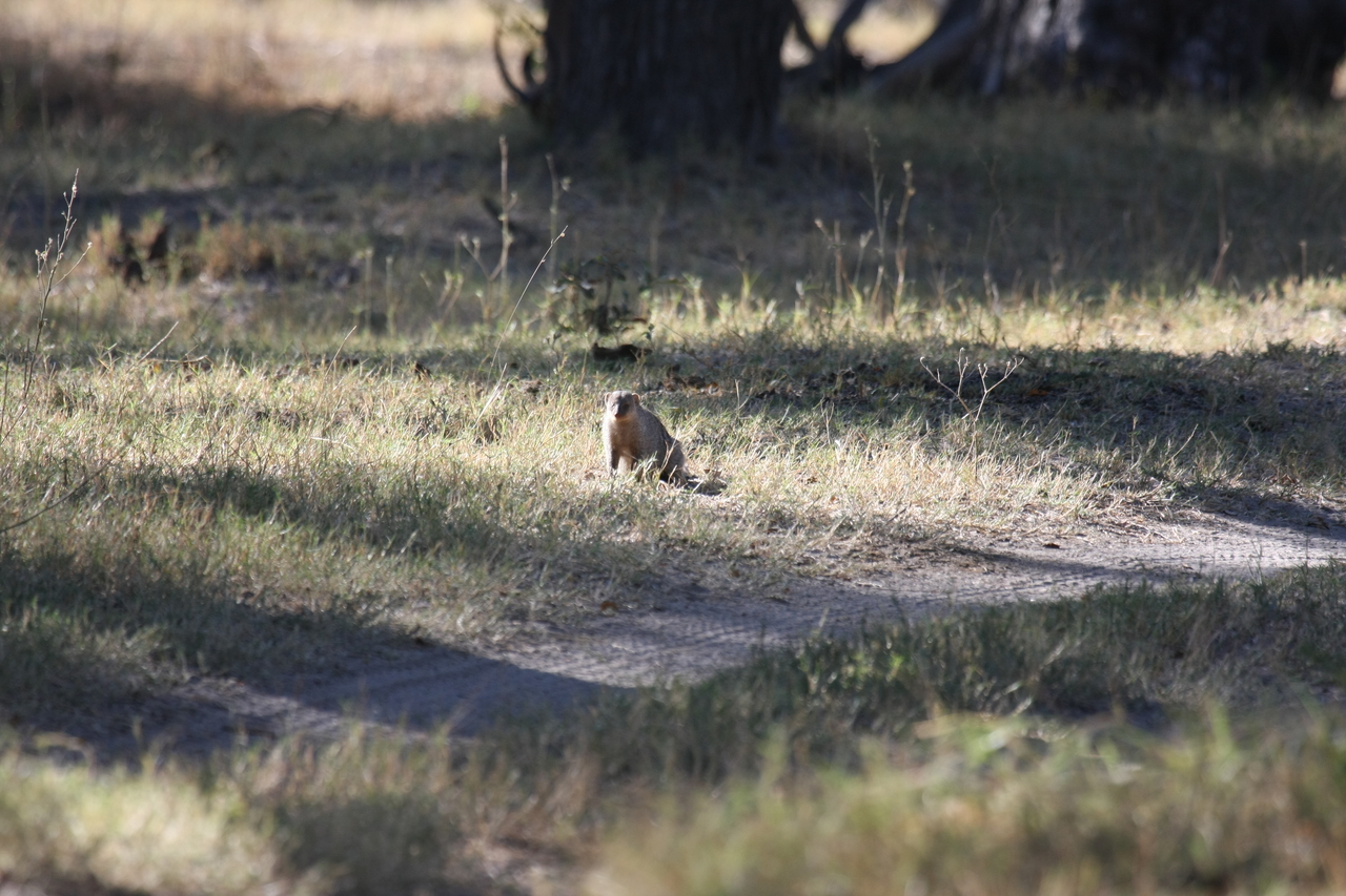 [20890] 2016_06_29_03_08_53_Africa_Canon_EOS_40D_IMG__03281.jpg