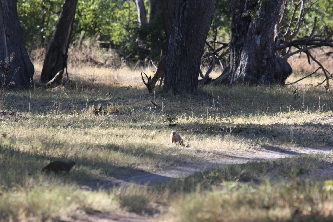 [20895] 2016_06_29_03_09_01_Africa_Canon_EOS_40D_IMG__00041.jpg