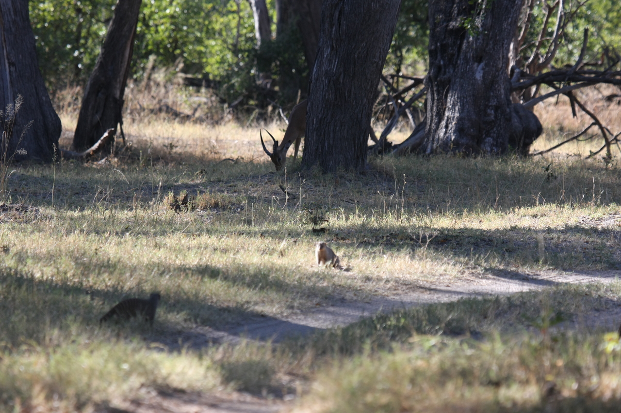 [20902] 2016_06_29_03_09_01_Africa_Canon_EOS_40D_IMG__10731.jpg