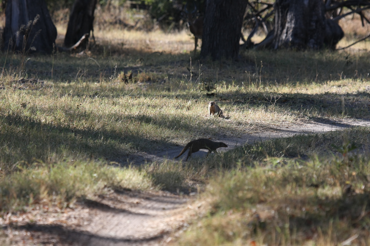 [20904] 2016_06_29_03_09_03_Africa_Canon_EOS_40D_IMG__03285.jpg