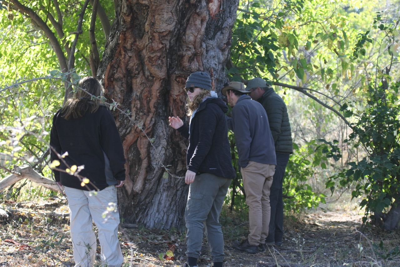 [21117] 2016_06_29_03_42_29_Africa_Canon_EOS_40D_IMG__00123.jpg