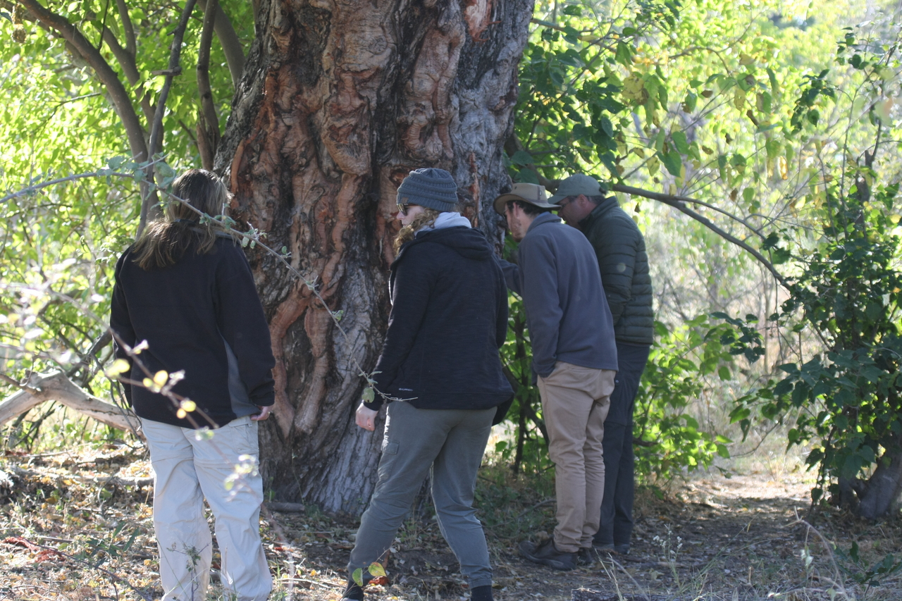 [21120] 2016_06_29_03_42_29_Africa_Canon_EOS_40D_IMG__10811.jpg