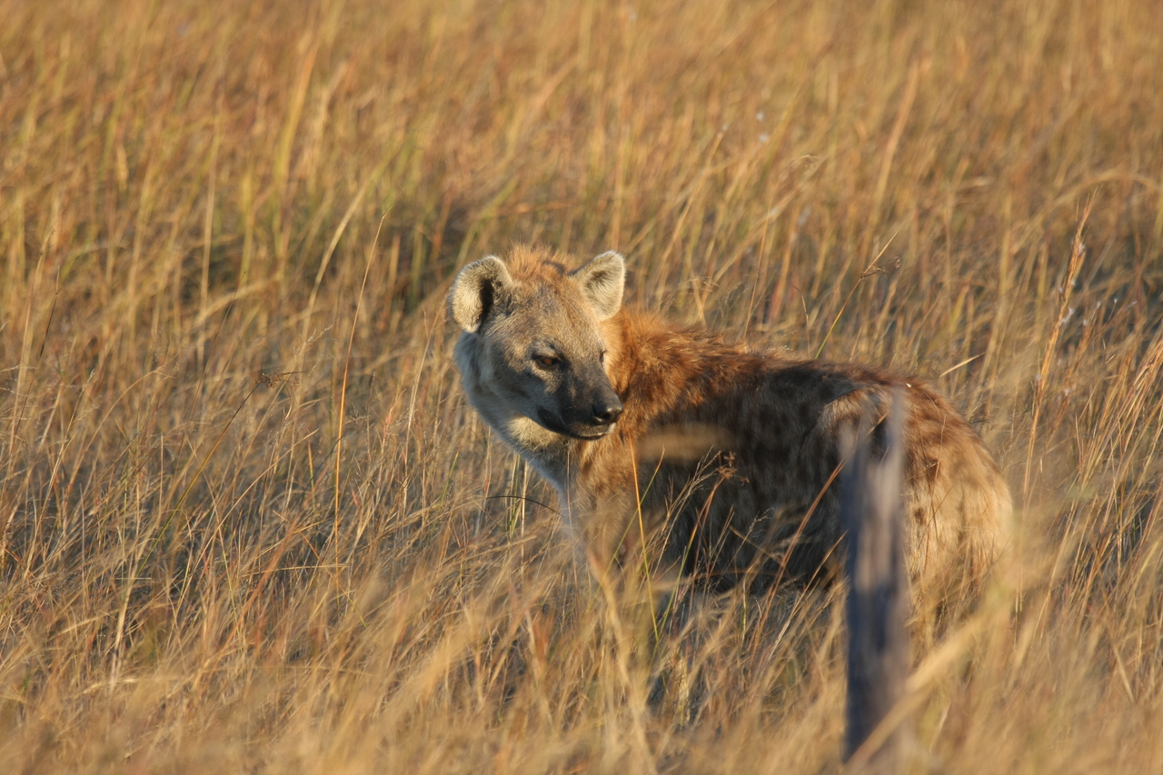 [21567] 2016_06_29_11_34_09_Africa_Canon_EOS_40D_IMG__00214.jpg