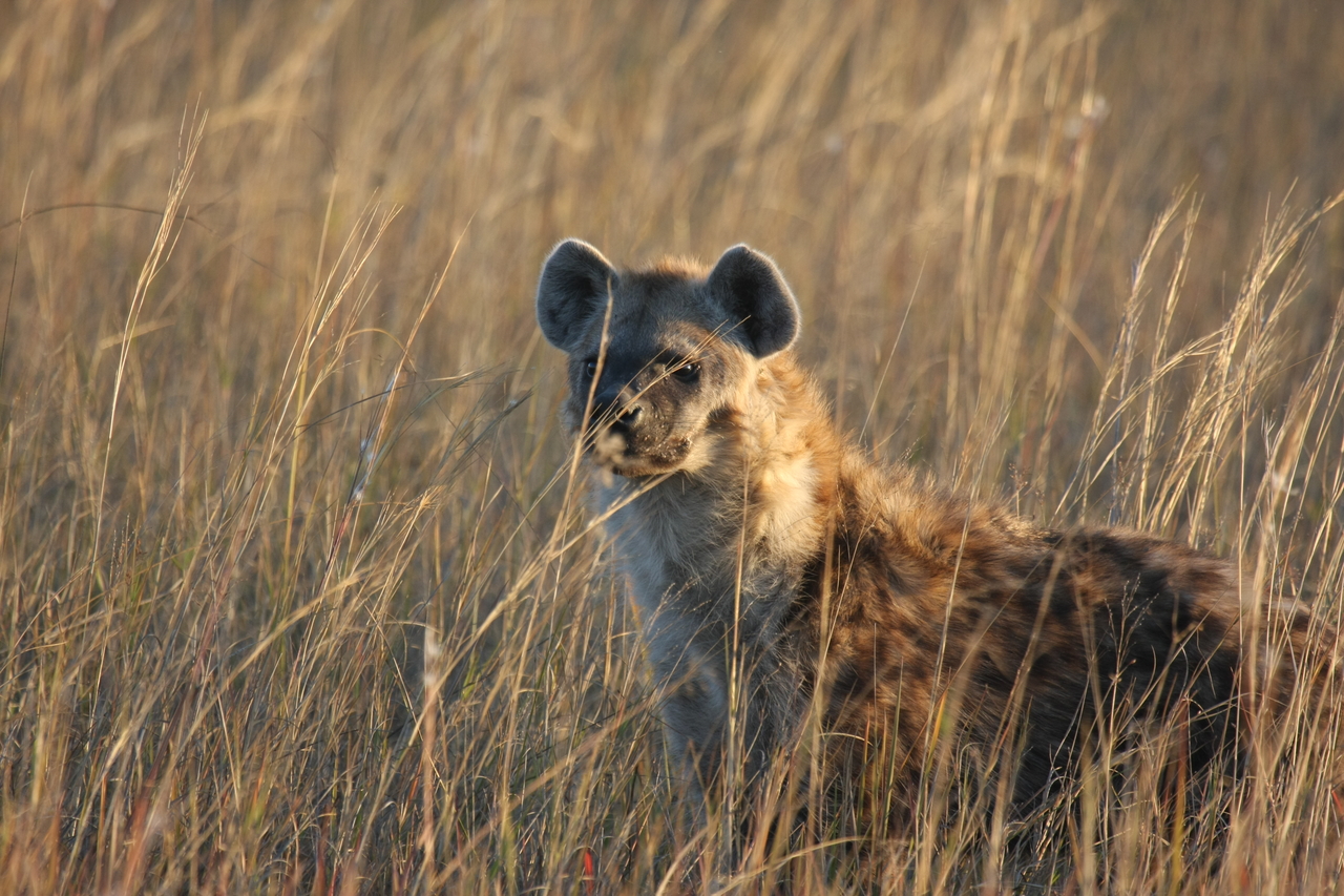 [21620] 2016_06_29_11_34_47_Africa_Canon_EOS_40D_IMG__00235.jpg