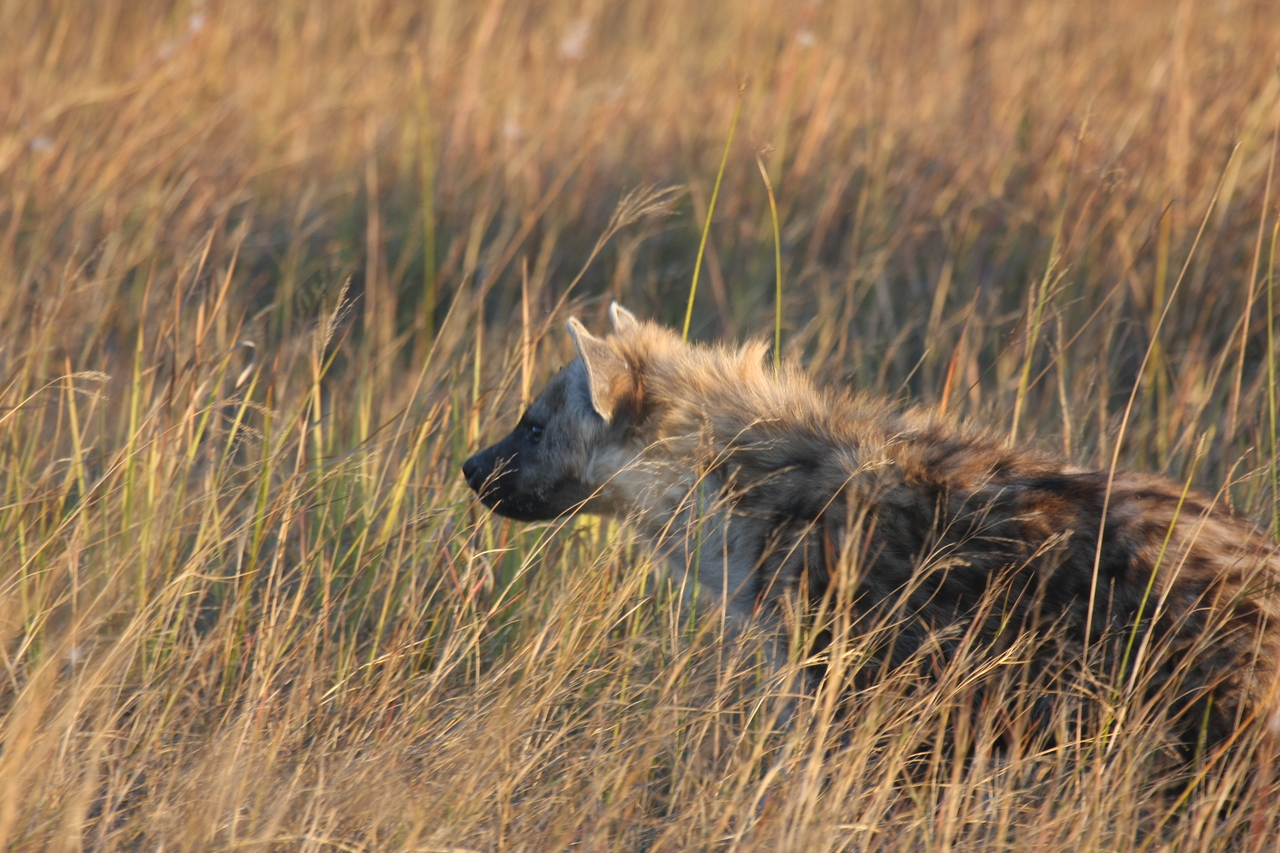 [21670] 2016_06_29_11_35_09_Africa_Canon_EOS_40D_IMG__00253.jpg