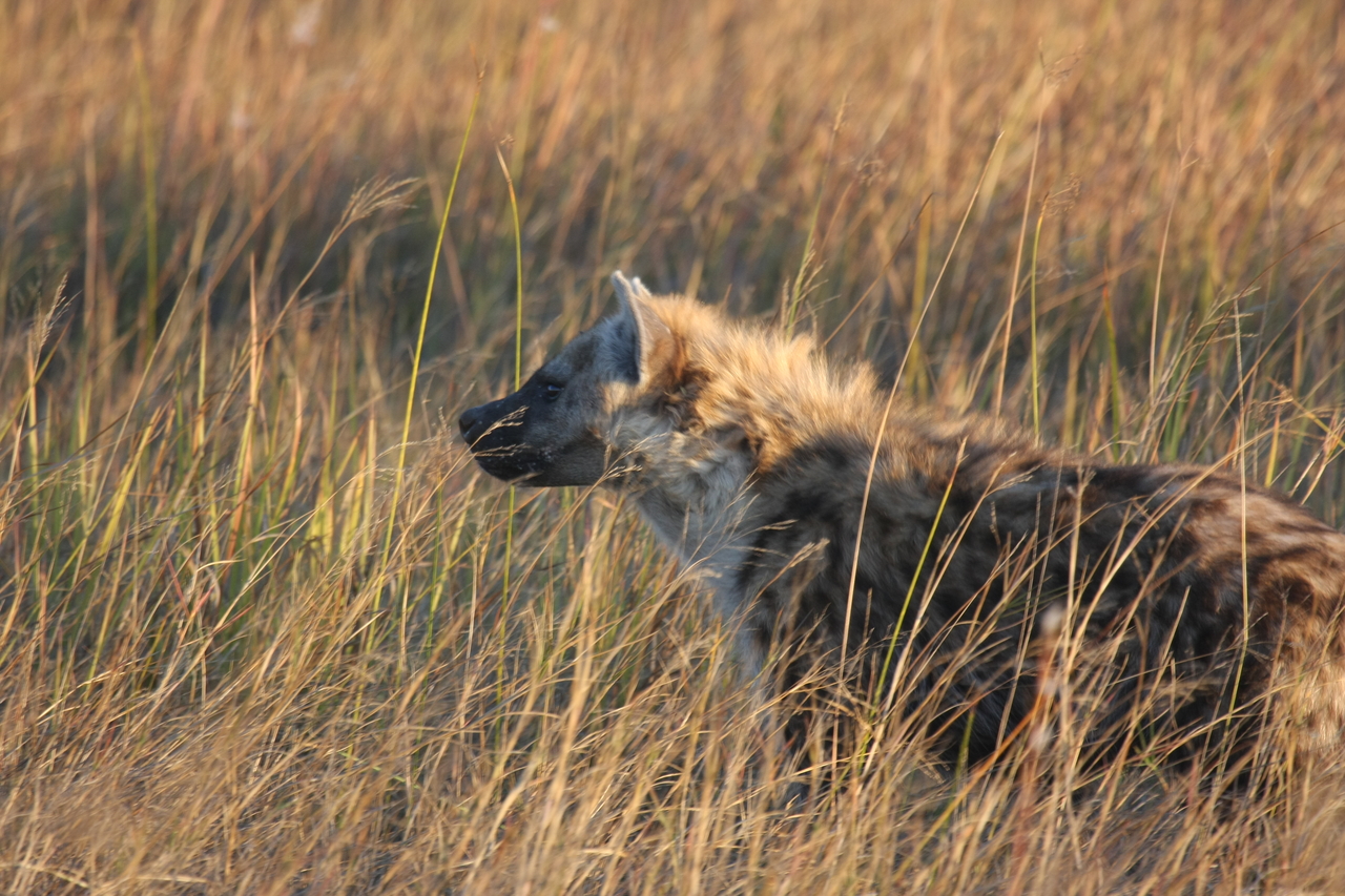 [21675] 2016_06_29_11_35_09_Africa_Canon_EOS_40D_IMG__10941.jpg