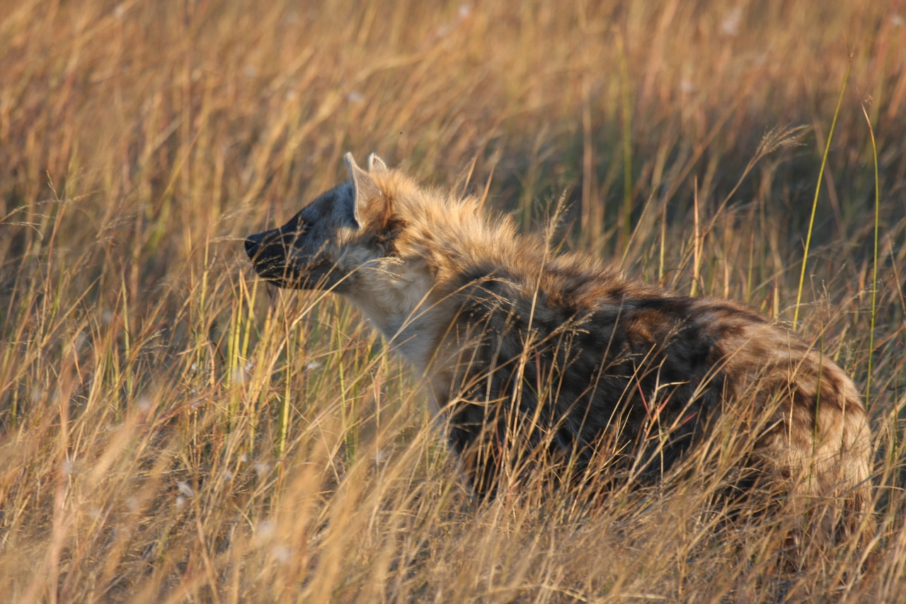 [21684] 2016_06_29_11_35_10_Africa_Canon_EOS_40D_IMG__10944.jpg