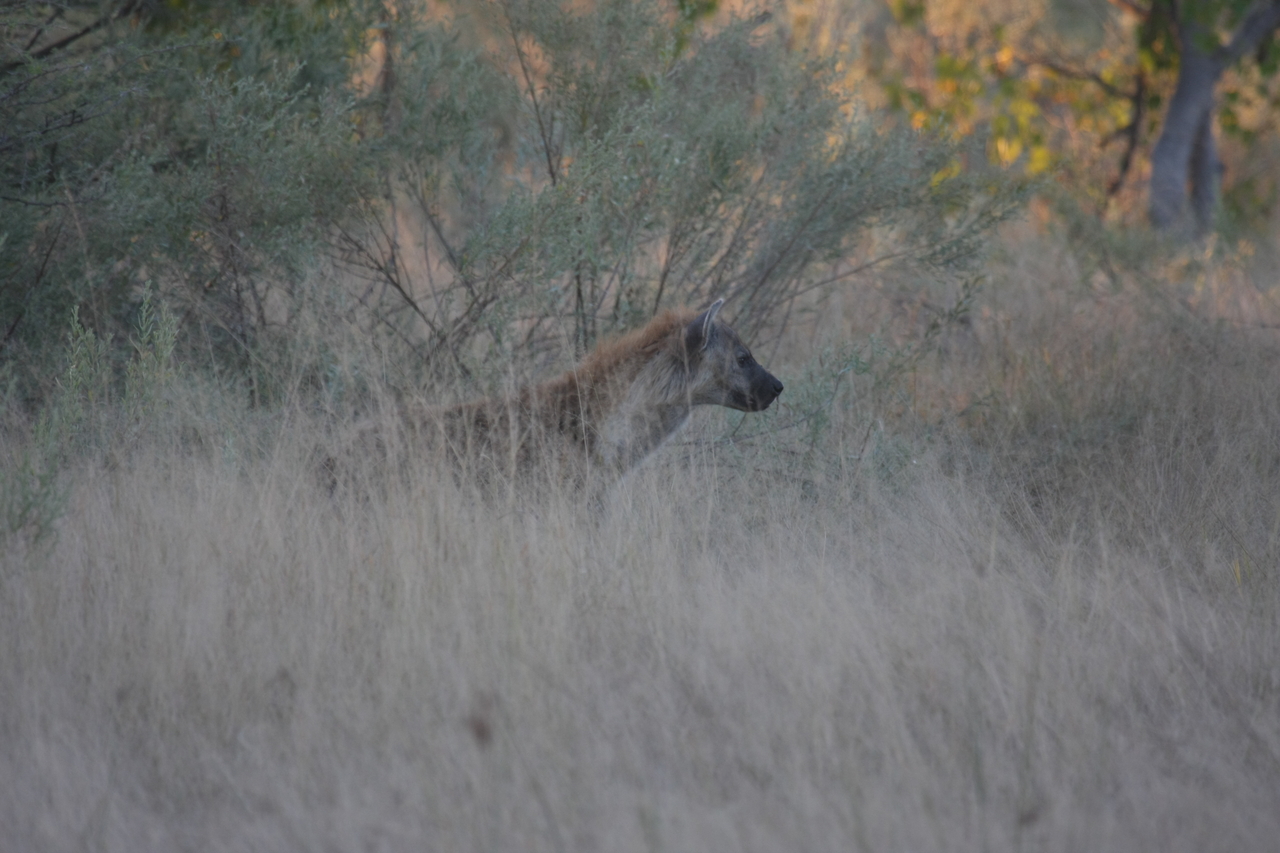 [21710] 2016_06_29_11_42_49_Africa_Canon_EOS_40D_IMG__03508.jpg