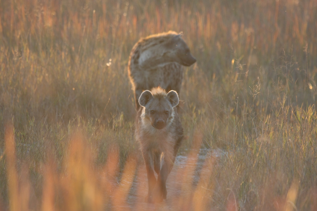 [21750] 2016_06_29_11_45_15_Africa_Canon_EOS_40D_IMG__03523.jpg