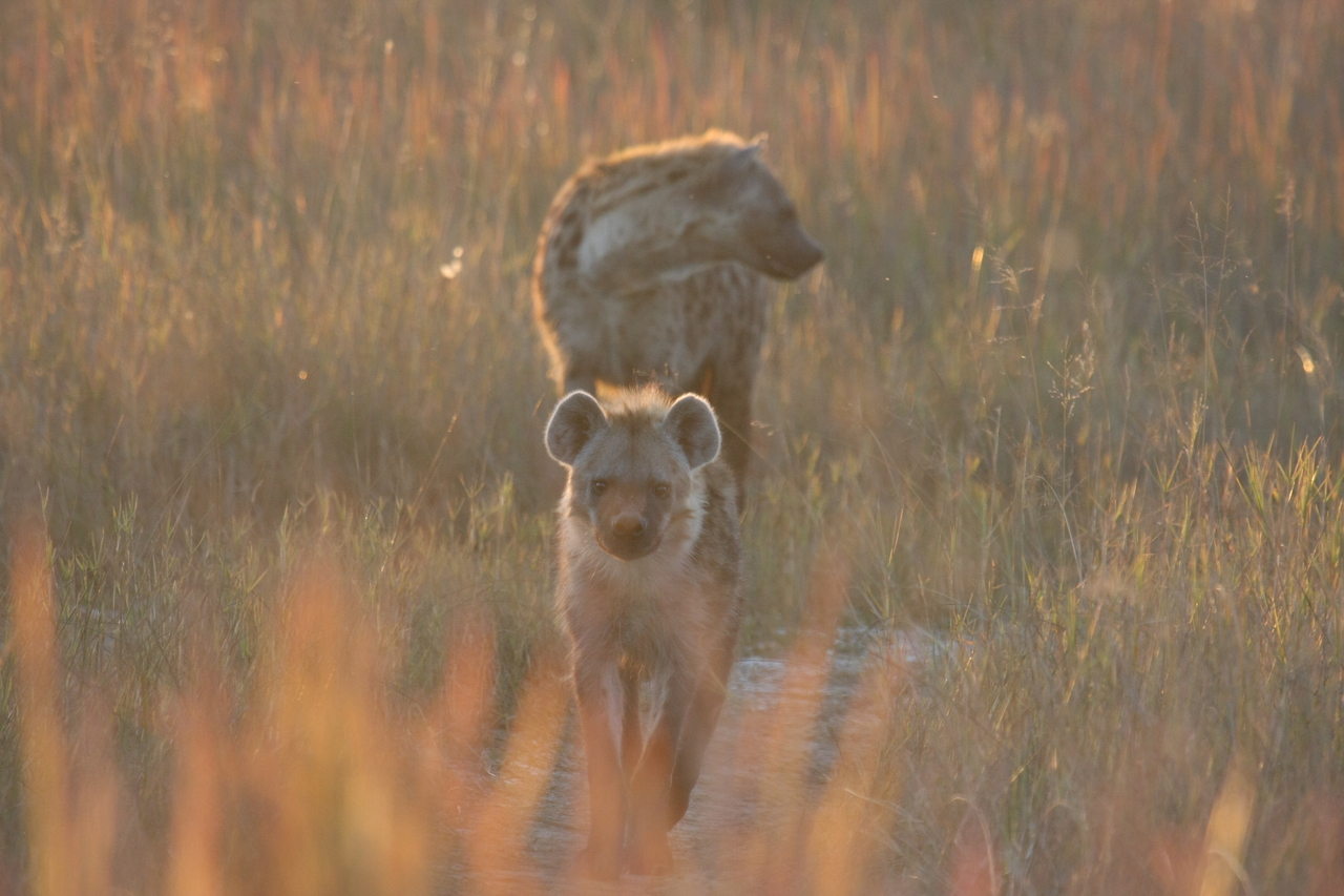 [21752] 2016_06_29_11_45_15_Africa_Canon_EOS_40D_IMG__03525.jpg