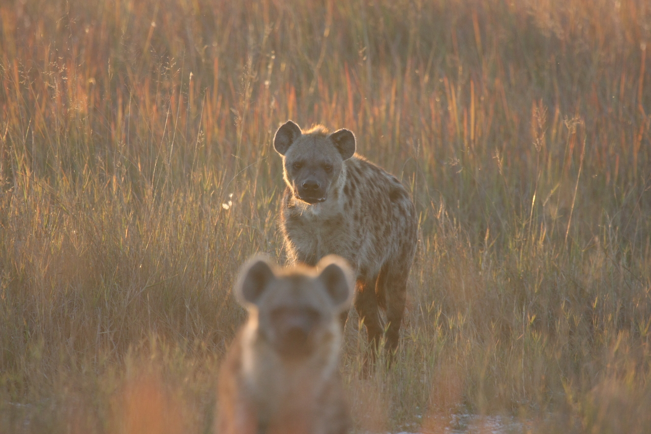 [21757] 2016_06_29_11_45_20_Africa_Canon_EOS_40D_IMG__00285.jpg