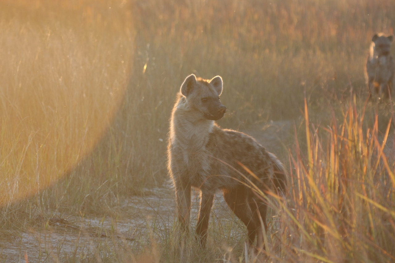 [21768] 2016_06_29_11_45_35_Africa_Canon_EOS_40D_IMG__03530.jpg