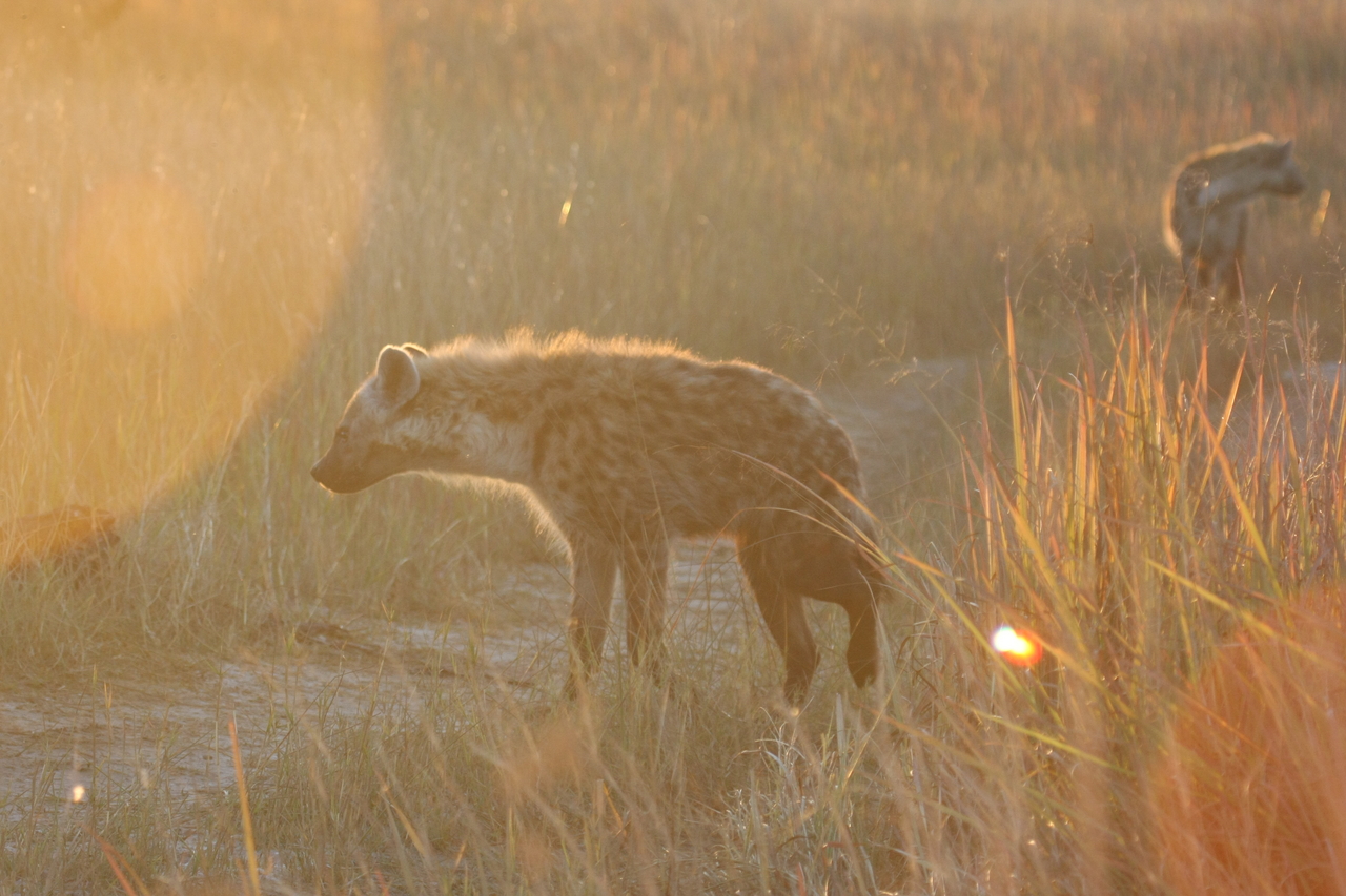 [21773] 2016_06_29_11_45_39_Africa_Canon_EOS_40D_IMG__10978.jpg