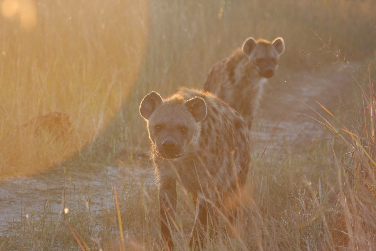 [21816] 2016_06_29_11_46_40_Africa_Canon_EOS_40D_IMG__03548.jpg