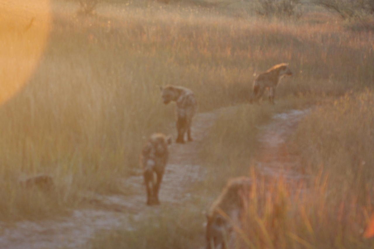 [21840] 2016_06_29_11_47_34_Africa_Canon_EOS_40D_IMG__00315.jpg