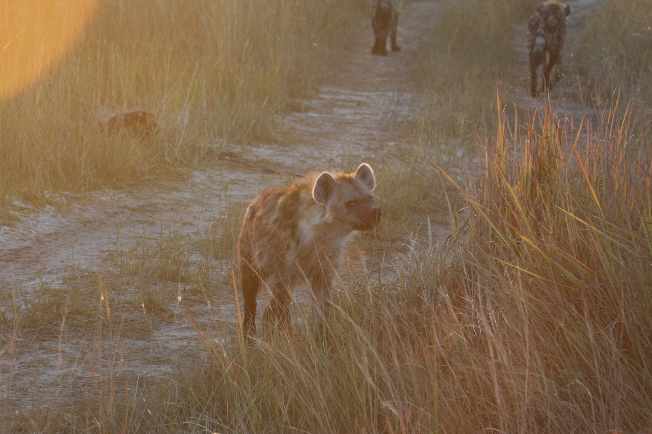 [21846] 2016_06_29_11_47_44_Africa_Canon_EOS_40D_IMG__00317.jpg