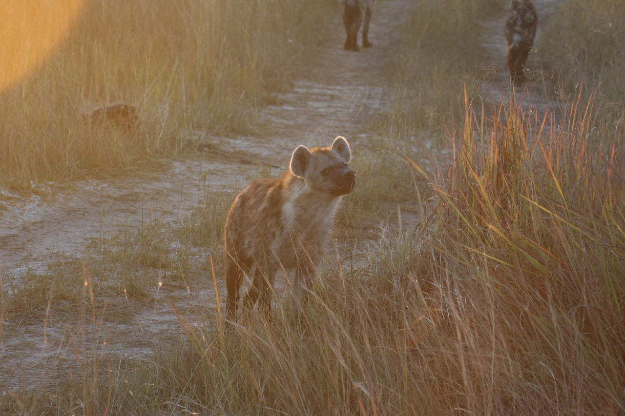 [21848] 2016_06_29_11_47_44_Africa_Canon_EOS_40D_IMG__00319.jpg