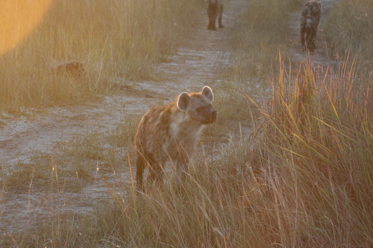 [21850] 2016_06_29_11_47_44_Africa_Canon_EOS_40D_IMG__03560.jpg