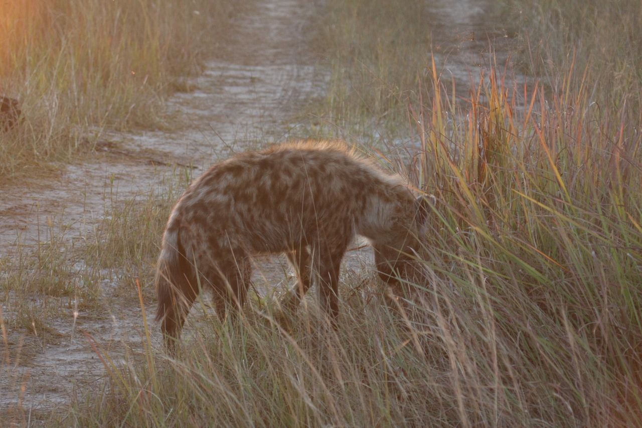 [21872] 2016_06_29_11_49_13_Africa_Canon_EOS_40D_IMG__03569.jpg