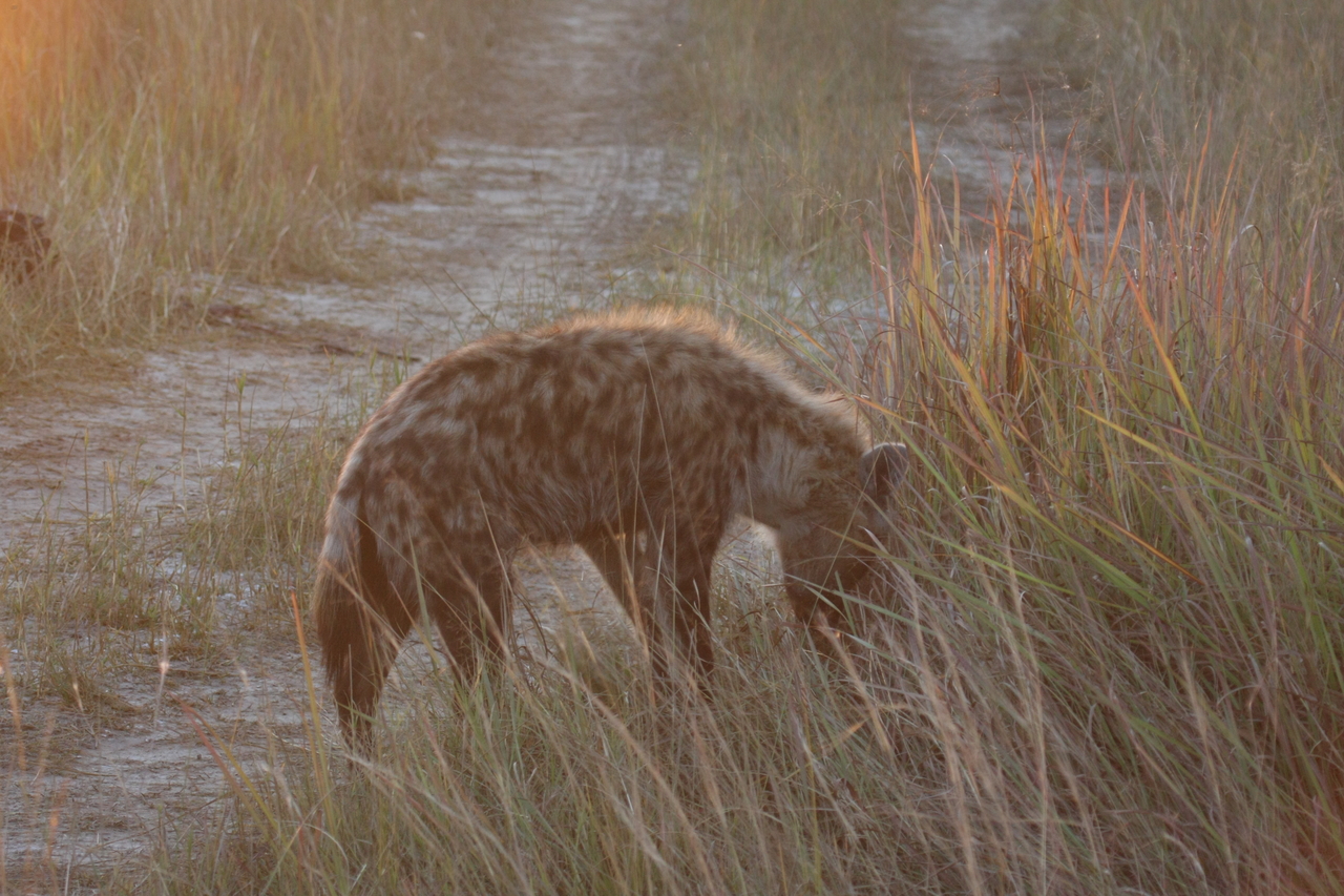 [21873] 2016_06_29_11_49_13_Africa_Canon_EOS_40D_IMG__11014.jpg
