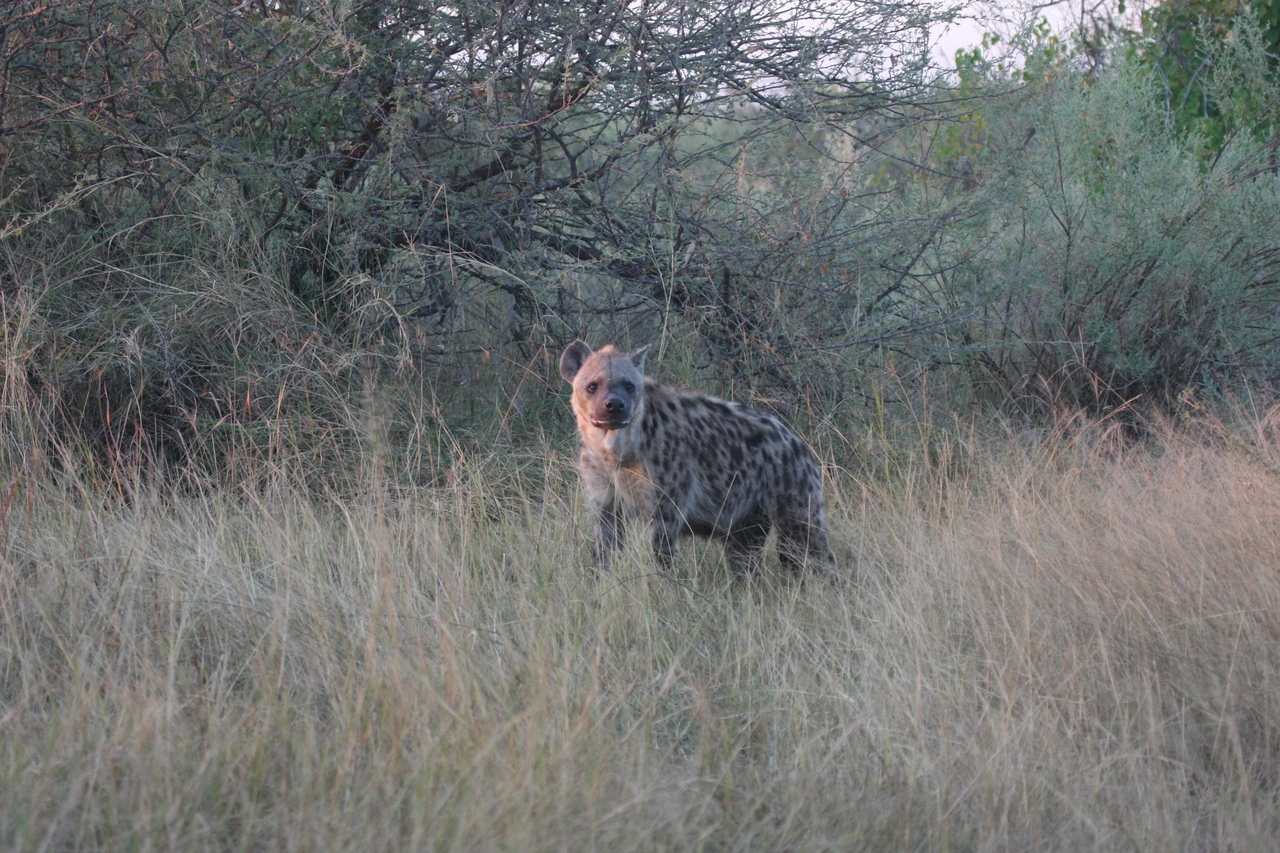 [21880] 2016_06_29_11_51_06_Africa_Canon_EOS_40D_IMG__00330.jpg