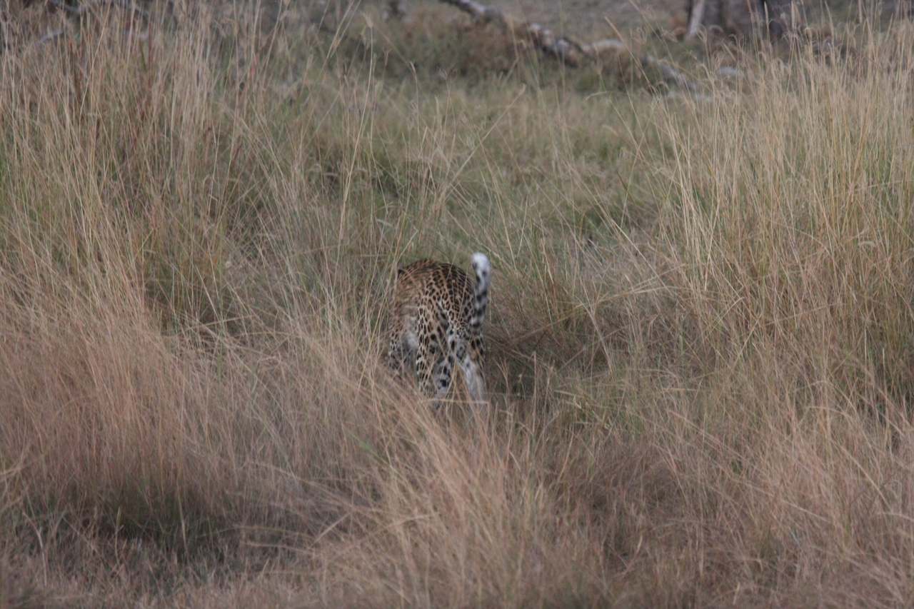 [21947] 2016_06_29_12_08_47_Africa_Canon_EOS_40D_IMG__00354.jpg