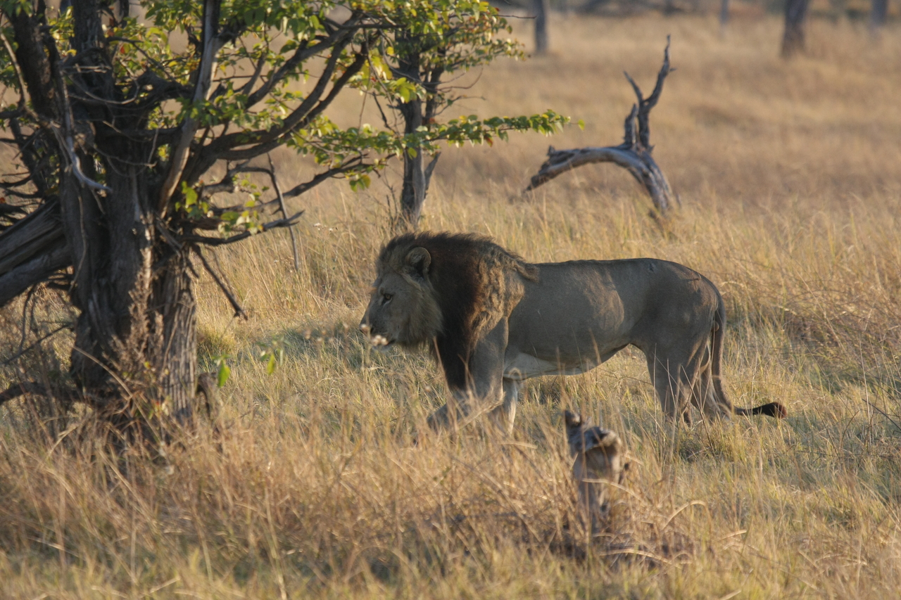 [22593] 2016_06_30_01_36_25_Africa_Canon_EOS_40D_IMG__04139.jpg