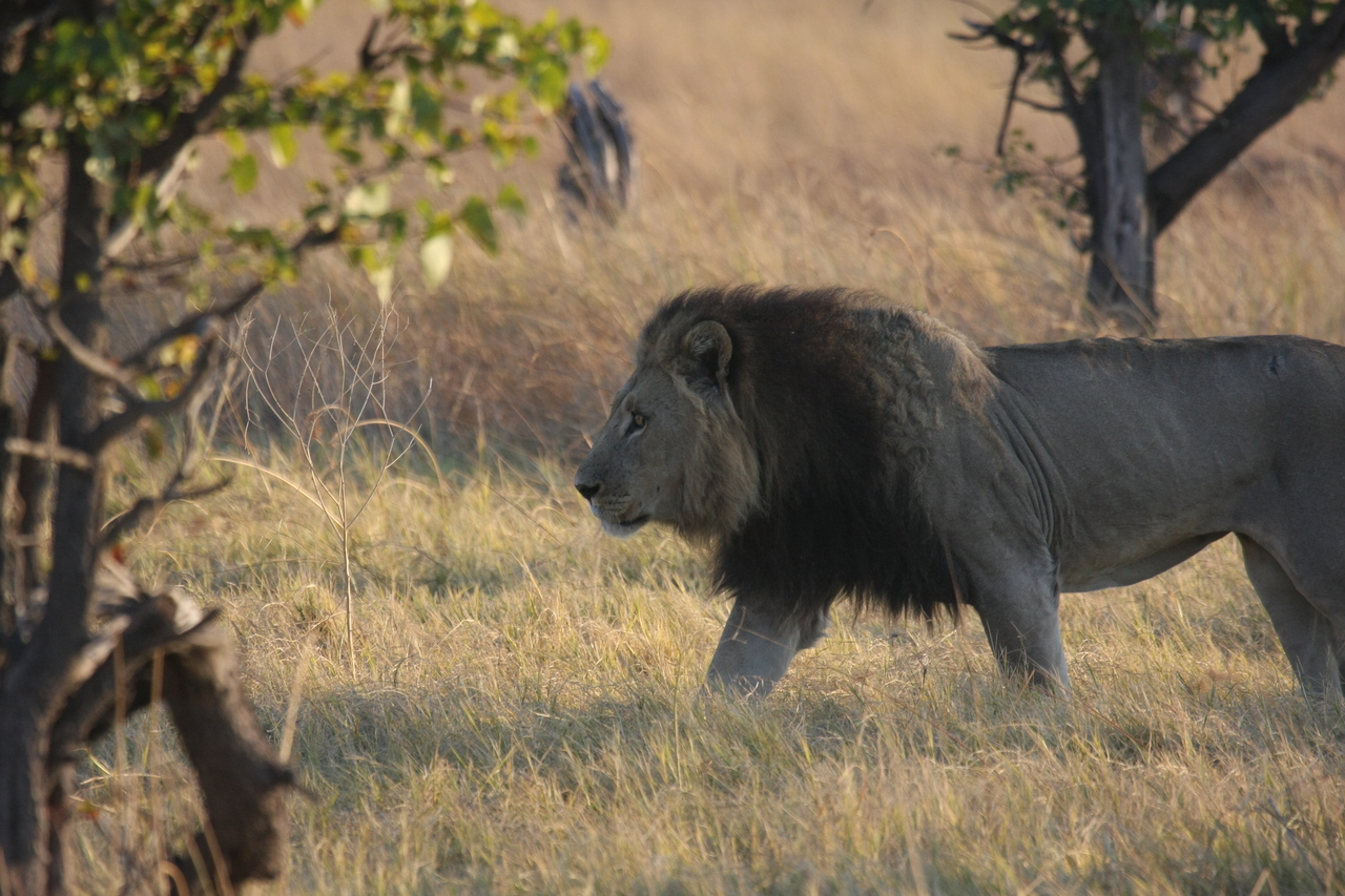 [22604] 2016_06_30_01_36_34_Africa_Canon_EOS_40D_IMG__00469.jpg