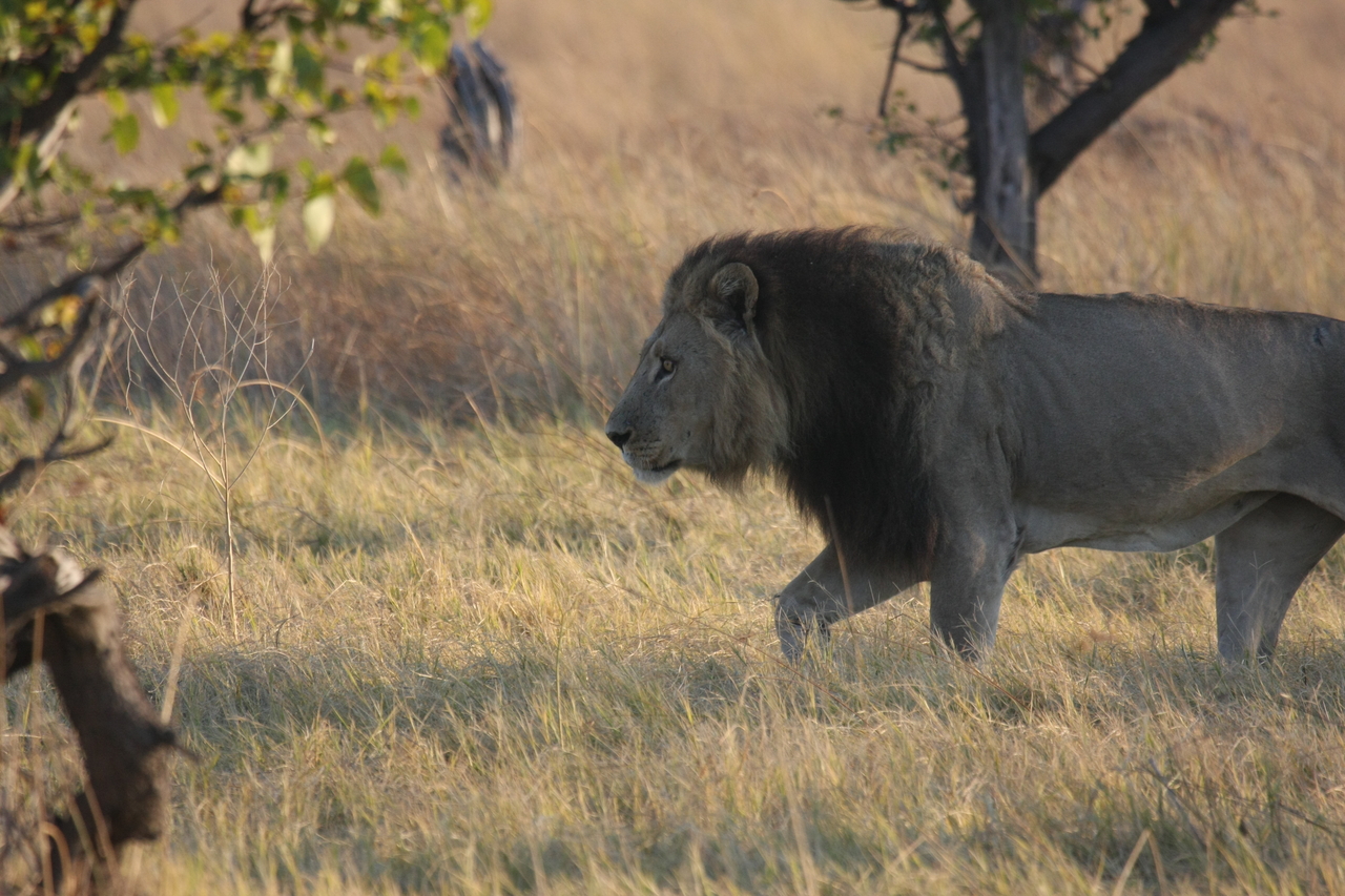 [22605] 2016_06_30_01_36_34_Africa_Canon_EOS_40D_IMG__04184.jpg