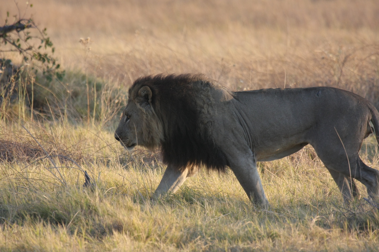 [22609] 2016_06_30_01_36_42_Africa_Canon_EOS_40D_IMG__00480.jpg