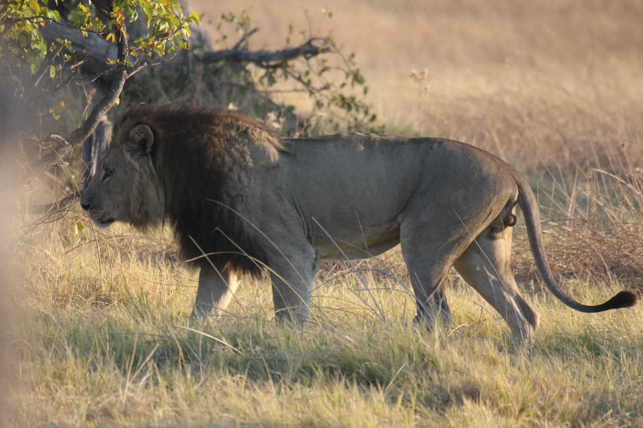 [22614] 2016_06_30_01_36_43_Africa_Canon_EOS_40D_IMG__11664.jpg