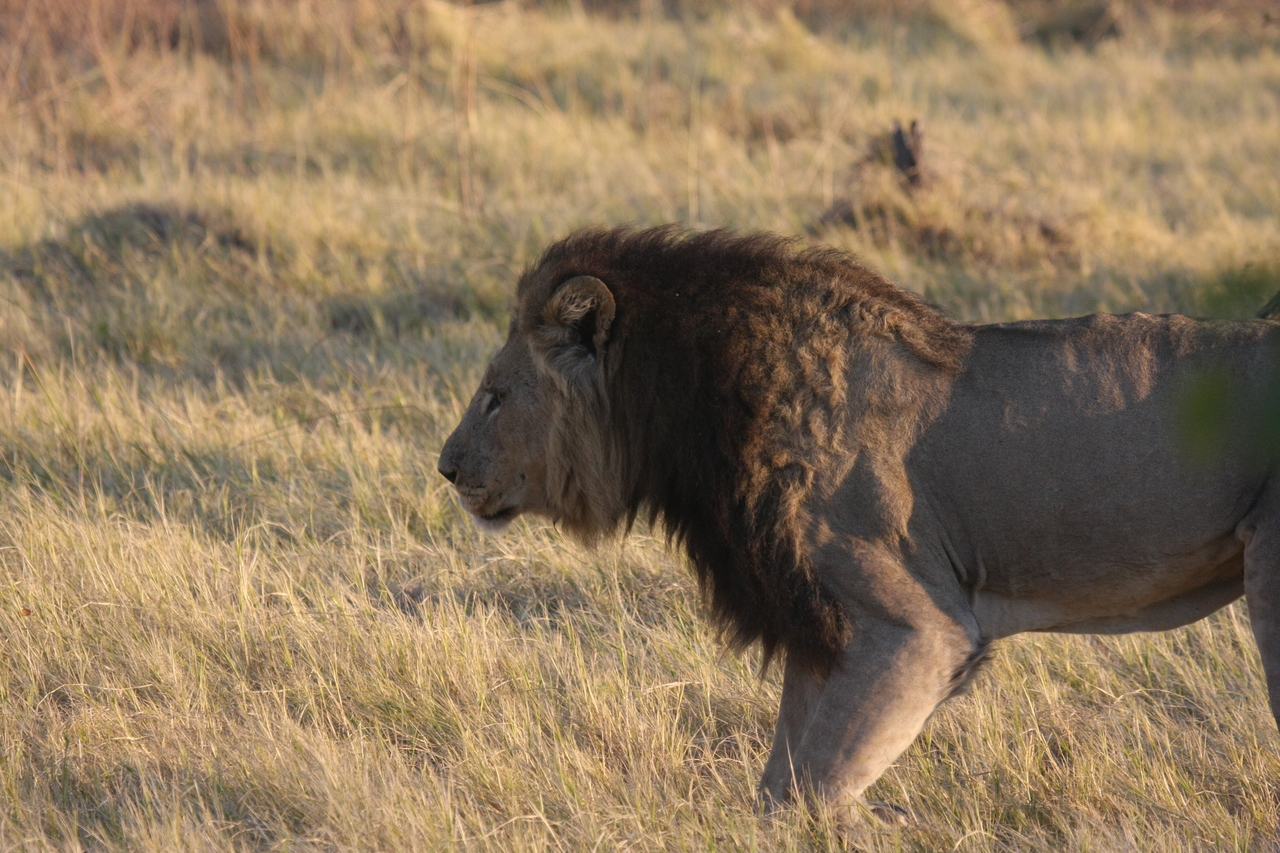 [22617] 2016_06_30_01_37_22_Africa_Canon_EOS_40D_IMG__11675.jpg