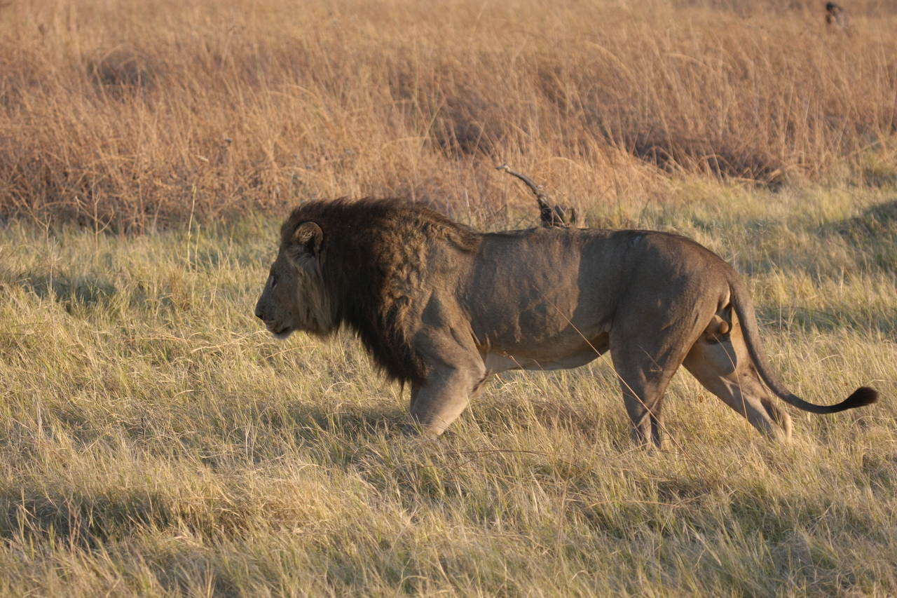 [22620] 2016_06_30_01_37_25_Africa_Canon_EOS_40D_IMG__11686.jpg