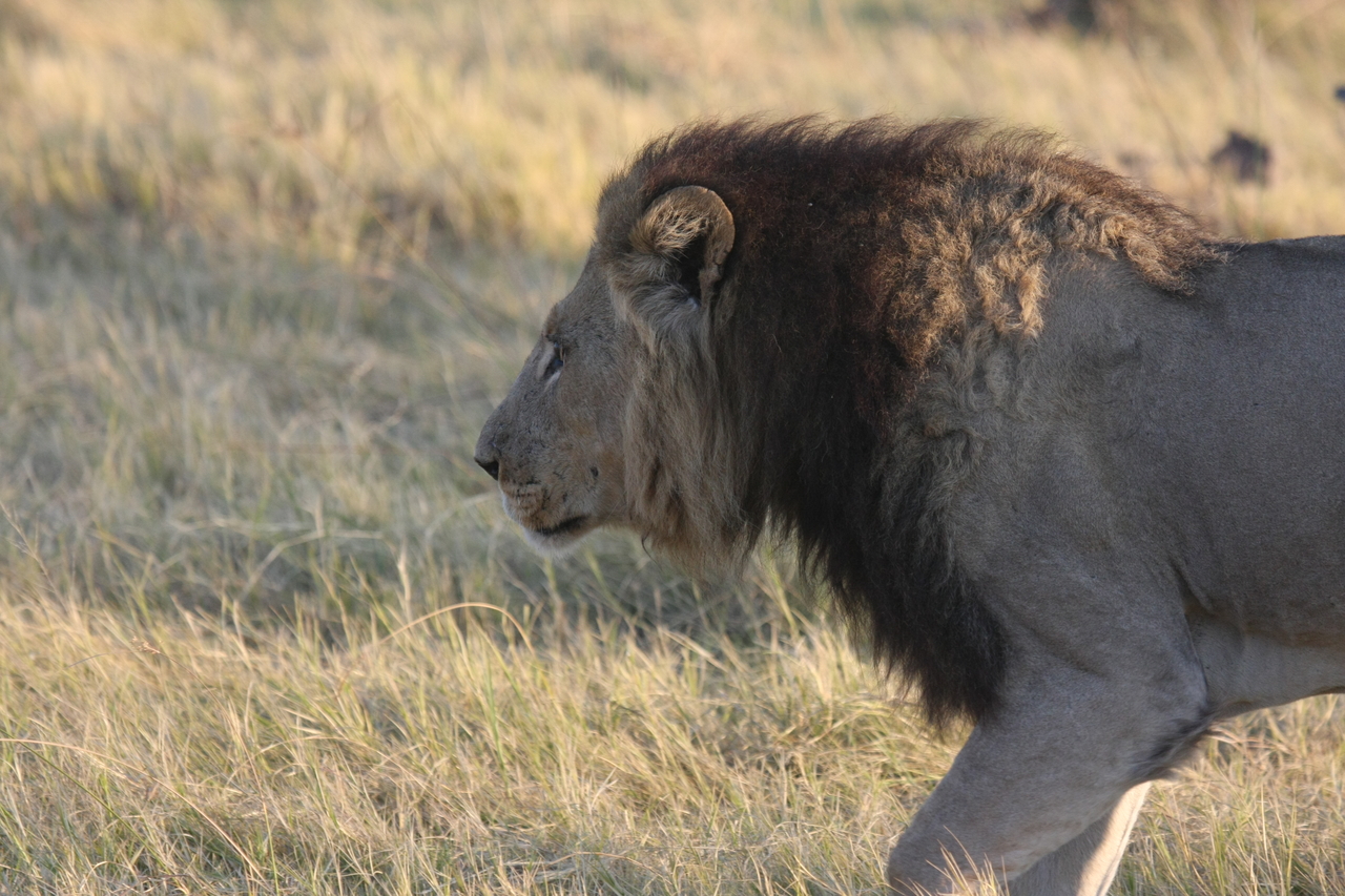 [22622] 2016_06_30_01_38_28_Africa_Canon_EOS_40D_IMG__04250.jpg