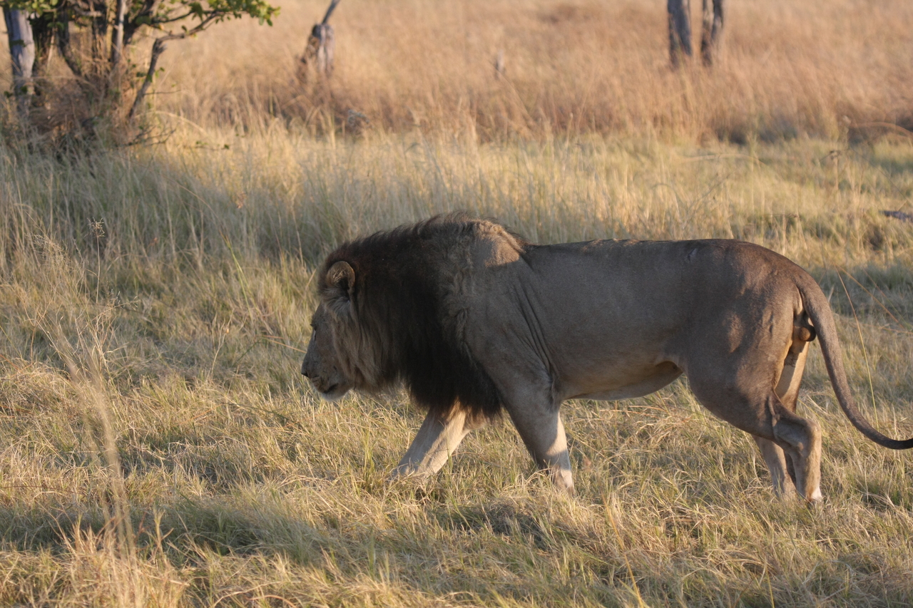 [22625] 2016_06_30_01_38_32_Africa_Canon_EOS_40D_IMG__04261.jpg