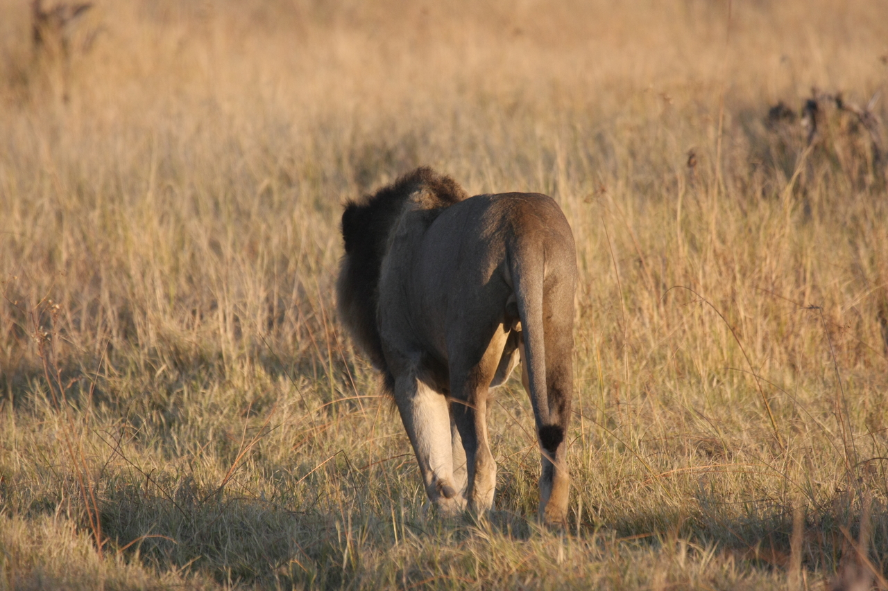 [22639] 2016_06_30_01_39_03_Africa_Canon_EOS_40D_IMG__11742.jpg