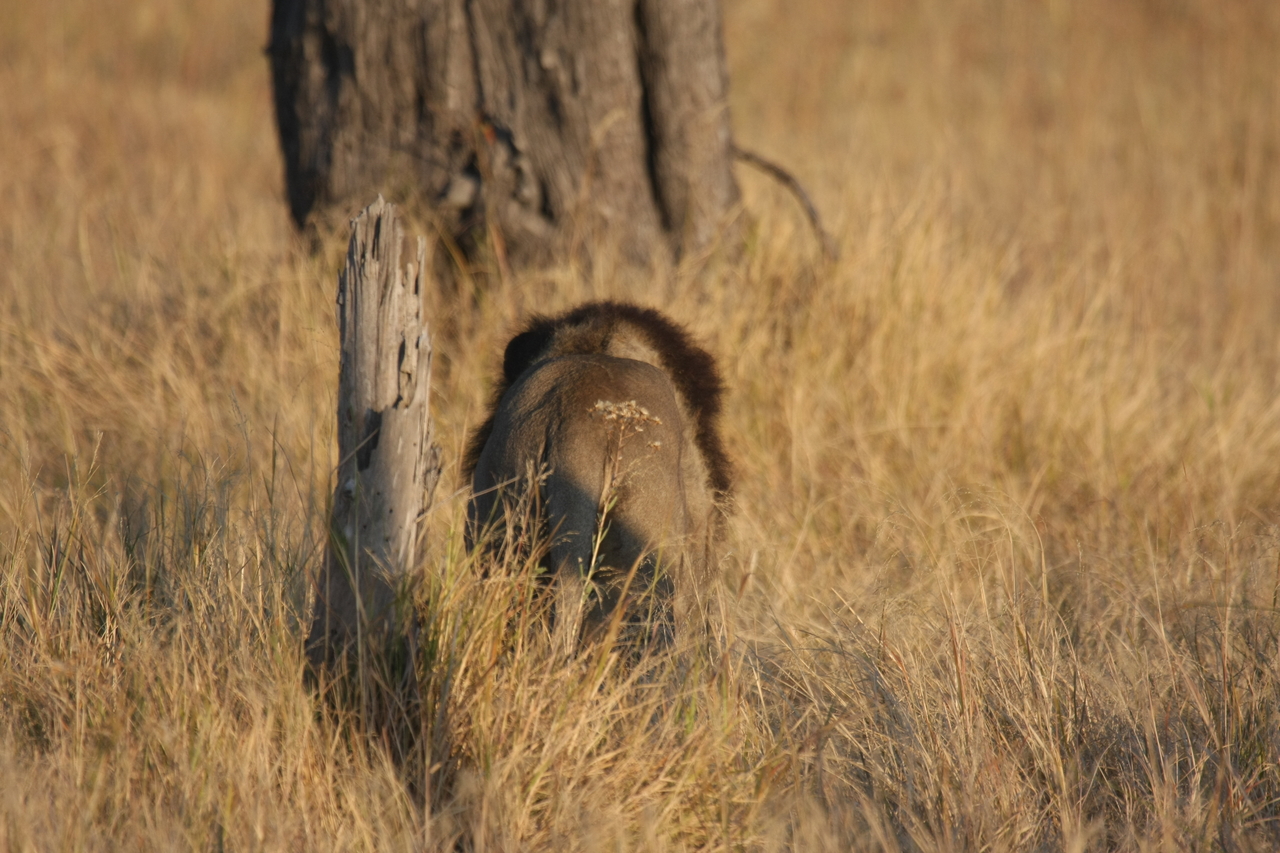 [22644] 2016_06_30_01_40_05_Africa_Canon_EOS_40D_IMG__04317.jpg