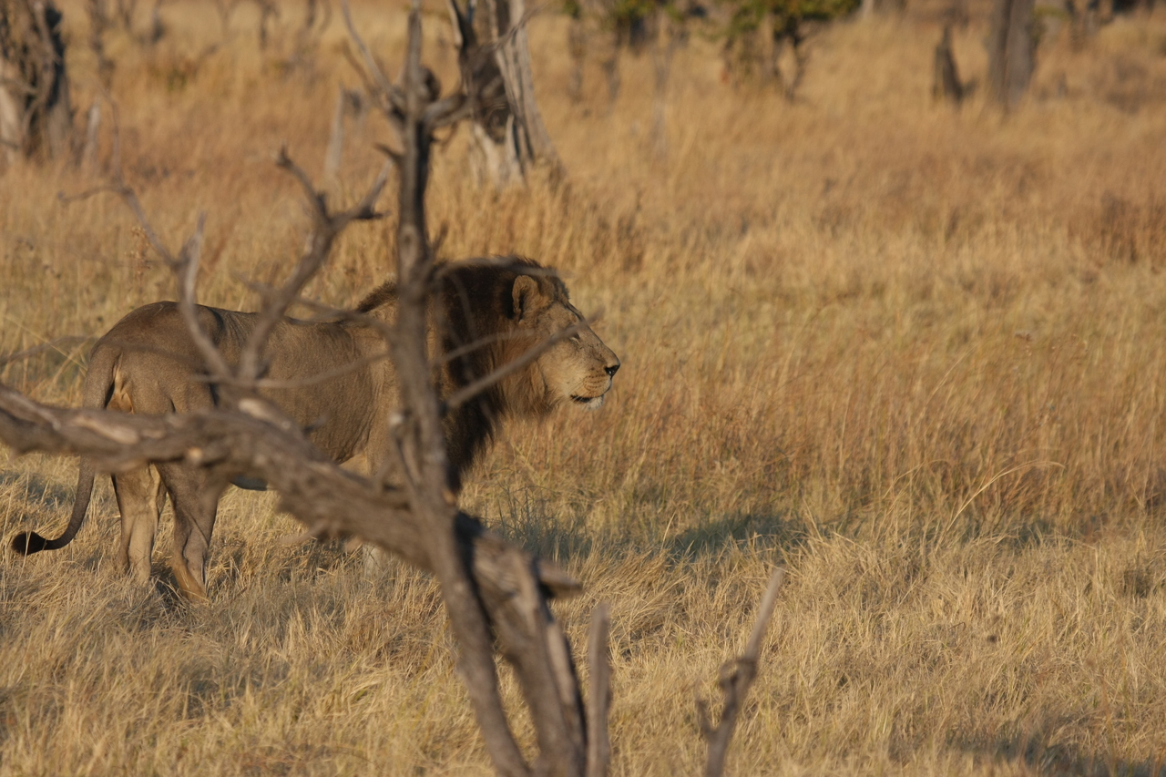 [22654] 2016_06_30_01_41_42_Africa_Canon_EOS_40D_IMG__11797.jpg