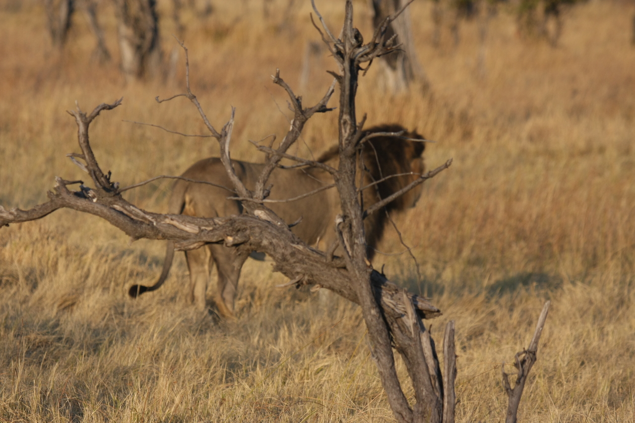 [22661] 2016_06_30_01_41_48_Africa_Canon_EOS_40D_IMG__00657.jpg